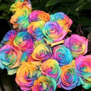 Meet your Posher, Loida